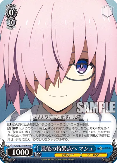Towards the Final Singularity, Mash