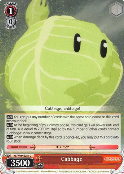 Cabbage