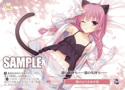 ネコカブリショウジョノコイ