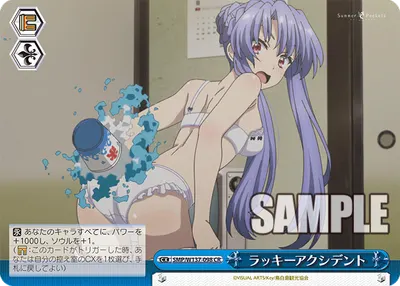 ラッキーアクシデント