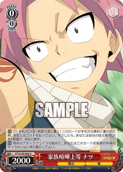 Down for Family Disputes, Natsu