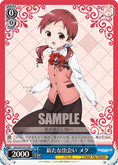 新たな出会い メグ