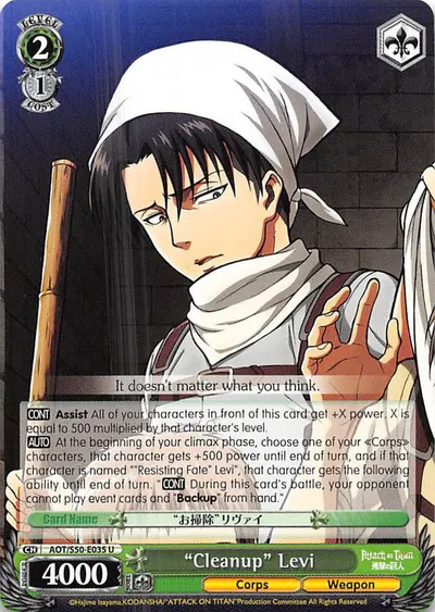 "Cleanup" Levi