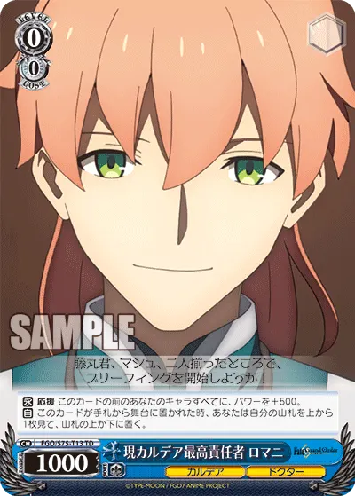 Acting Director of Chaldea, Romani