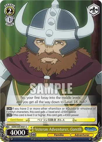 Veteran Adventurer, Gareth
