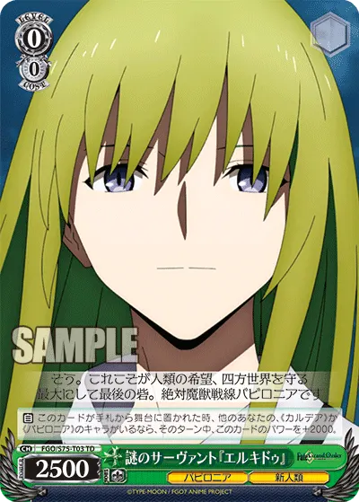 Mysterious Servant "Enkidu"
