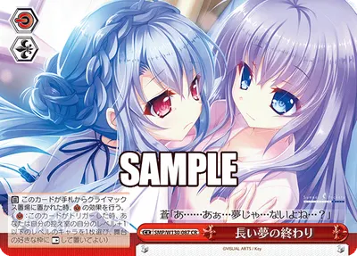 長い夢の終わり