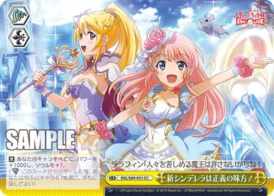 The New Cinderella: Champion of Justice!