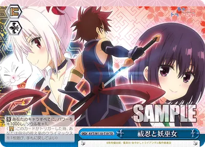 Exorcist Ninja and Ayakashi Medium