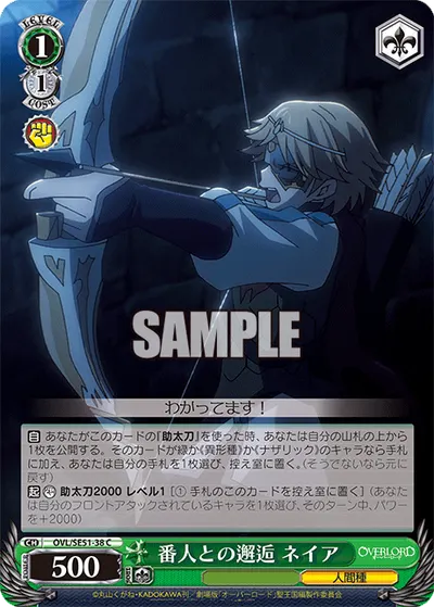 Encounter With a Guard, Neia