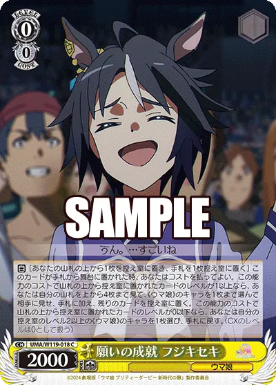 願いの成就 フジキセキ