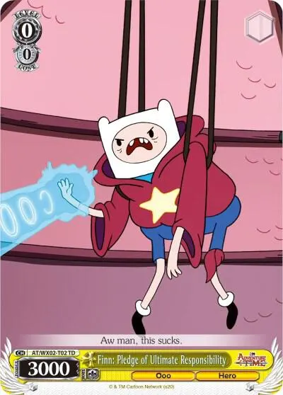Finn: Pledge of Ultimate Responsibility
