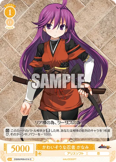 カワイソウナニンジャ カナミ