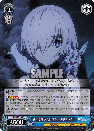 Qualified to Know Her Origins, Mash Kyrielight