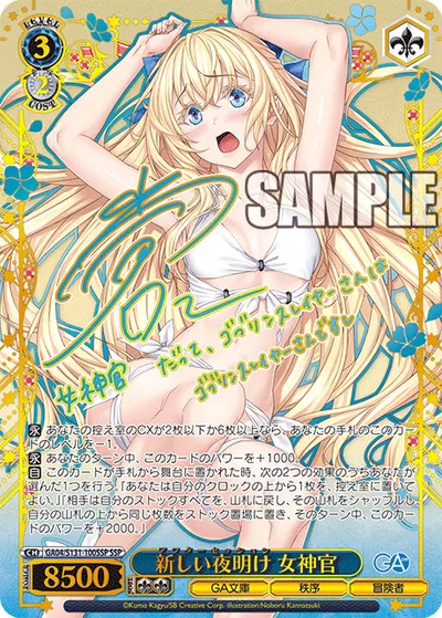 新しい夜明け 女神官
