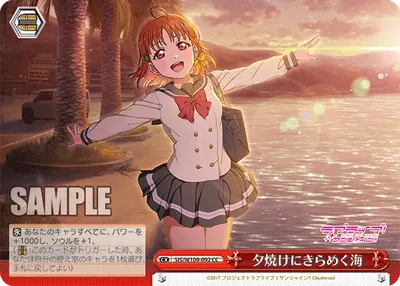 The Sparkling Sea at Sunset