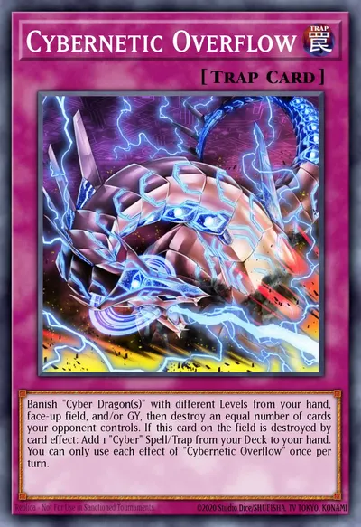Cybernetic Overflow