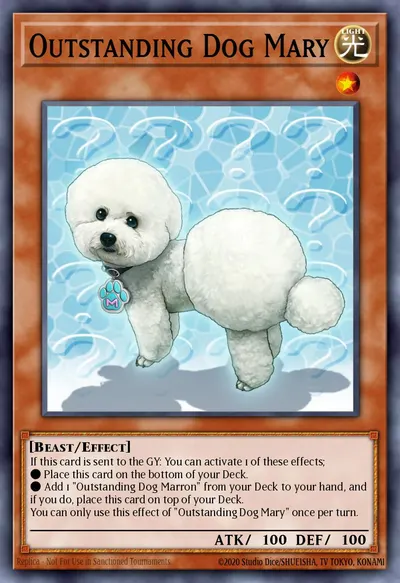 Outstanding Dog Mary