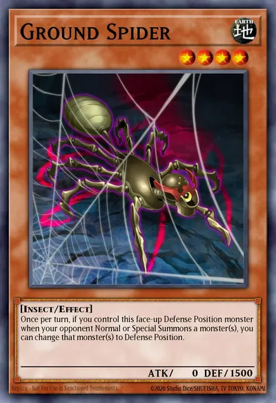 Ground Spider