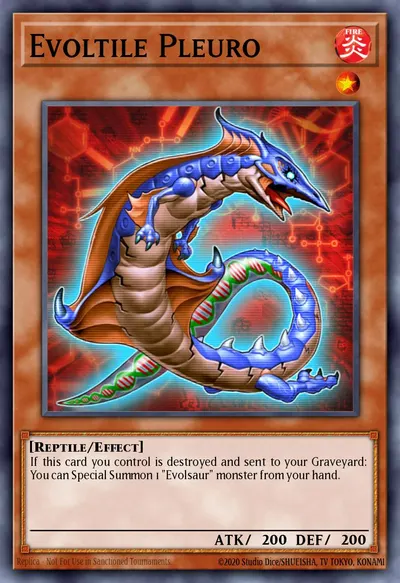 Evoltile Pleuro