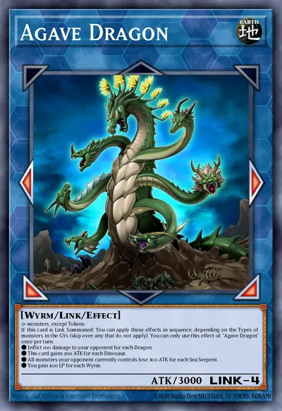 Agave Dragon
