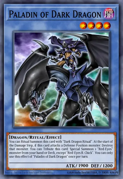 Paladin of Dark Dragon