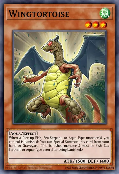 Wingtortoise