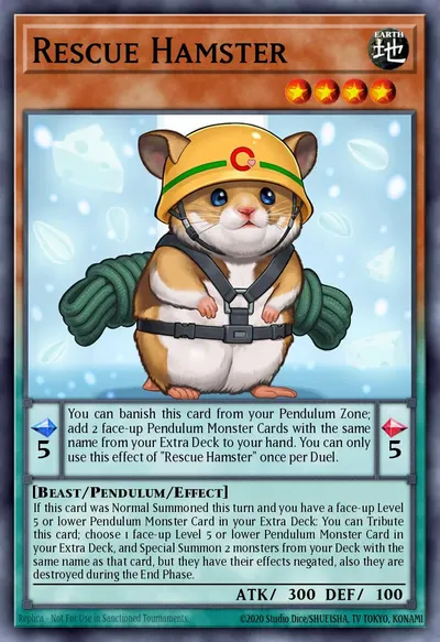 Rescue Hamster